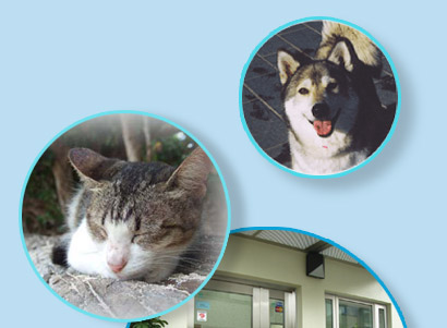 �C���[�W�ʐ^01