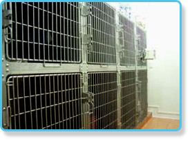 ���@���i���E�L�͕ʂł�